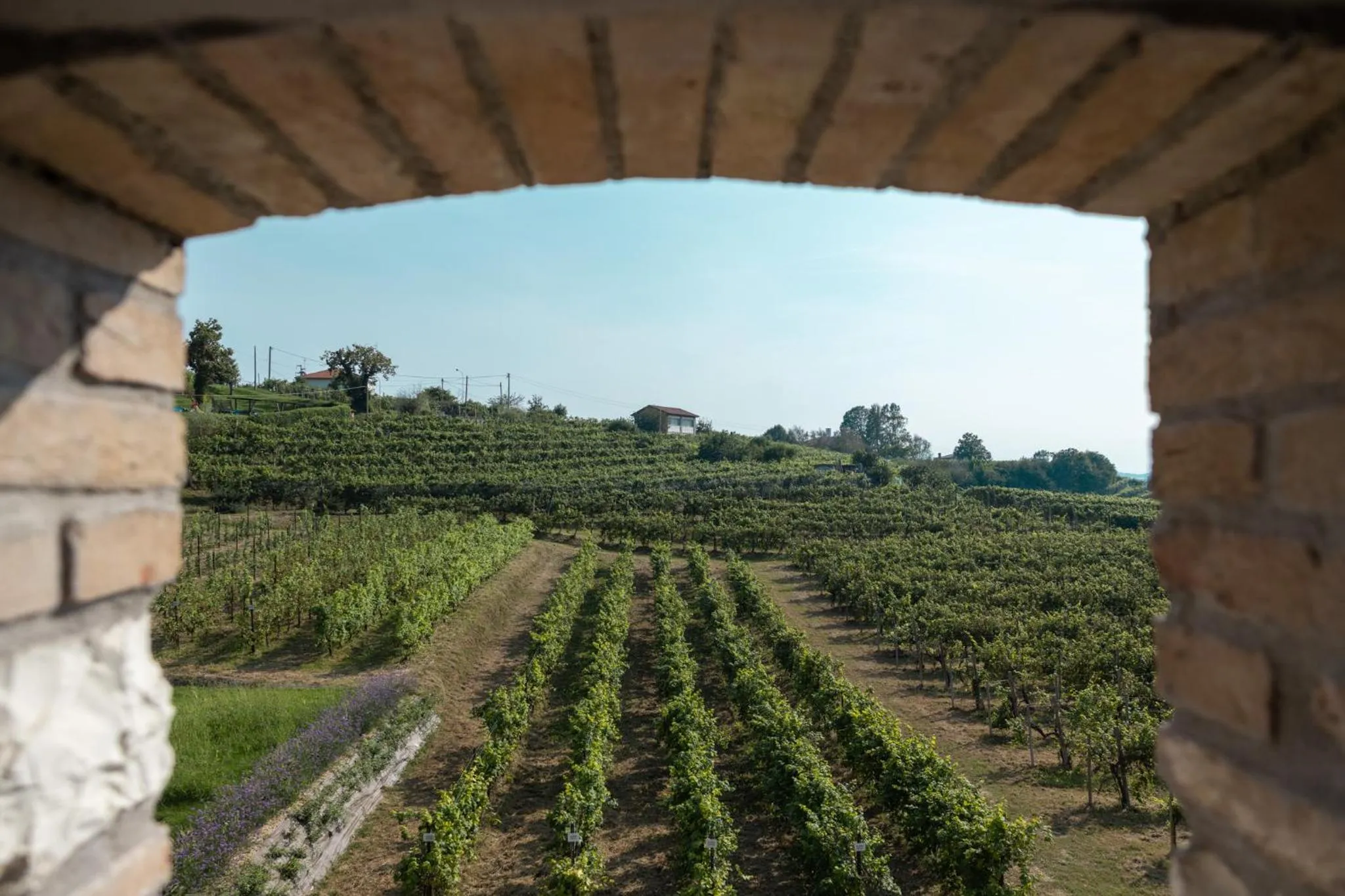 View (from property/room) in Casa Valdo Country House