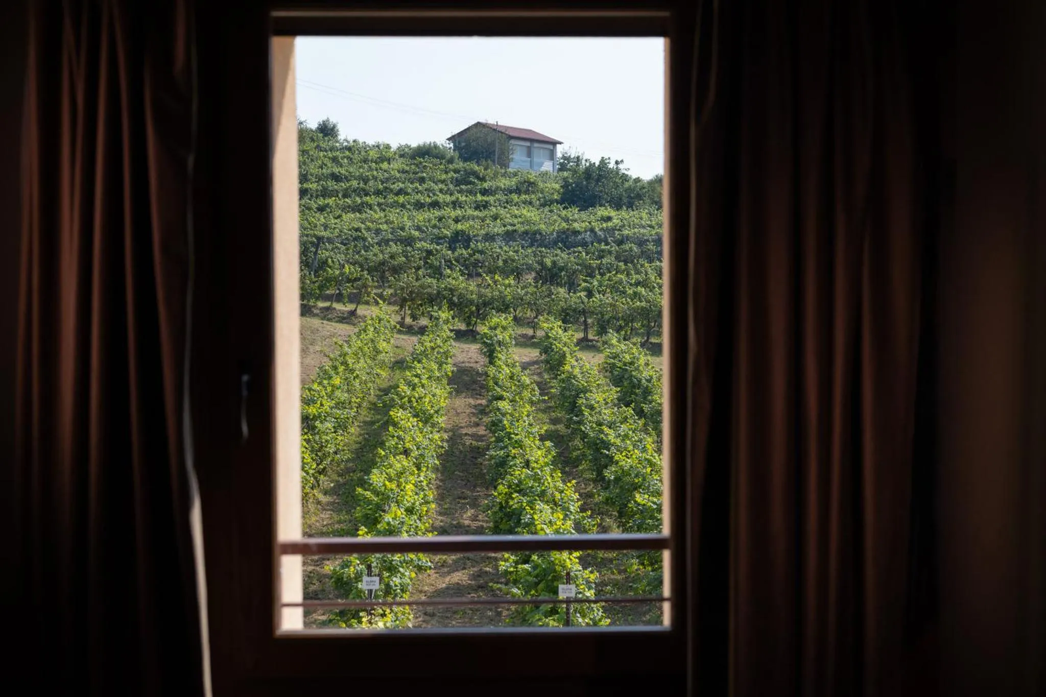 View (from property/room) in Casa Valdo Country House