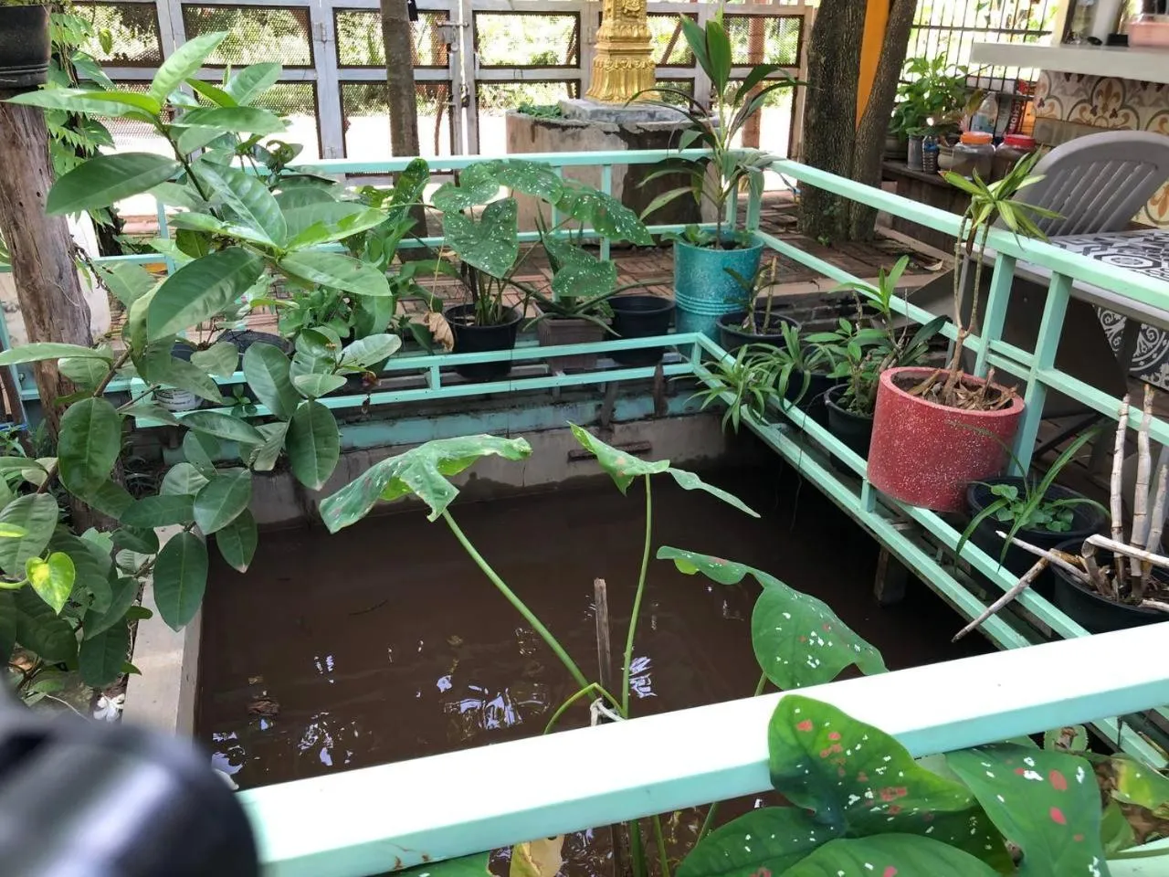 Garden view in Boyada Villa Siem Reap