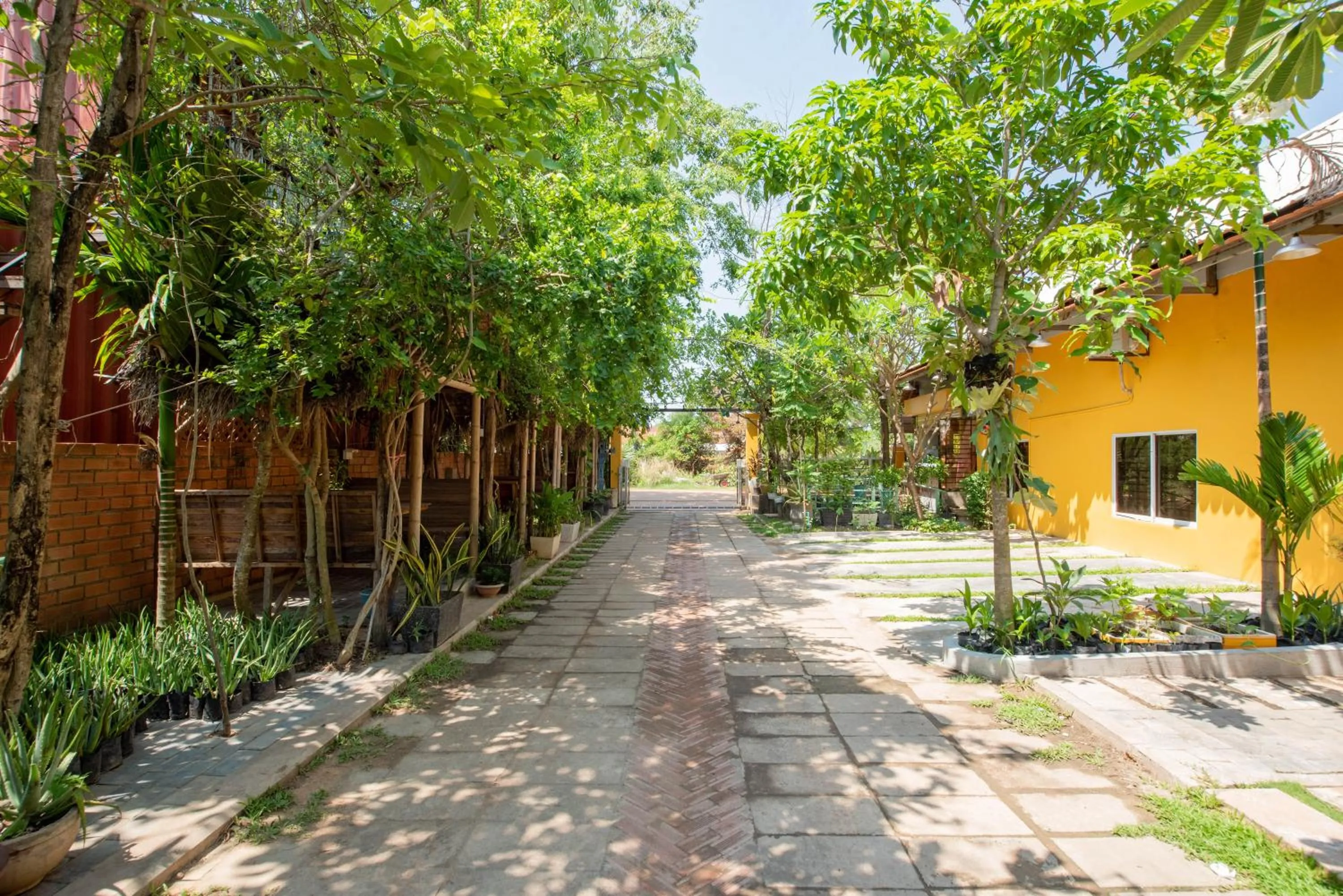 Natural landscape in Boyada Villa Siem Reap