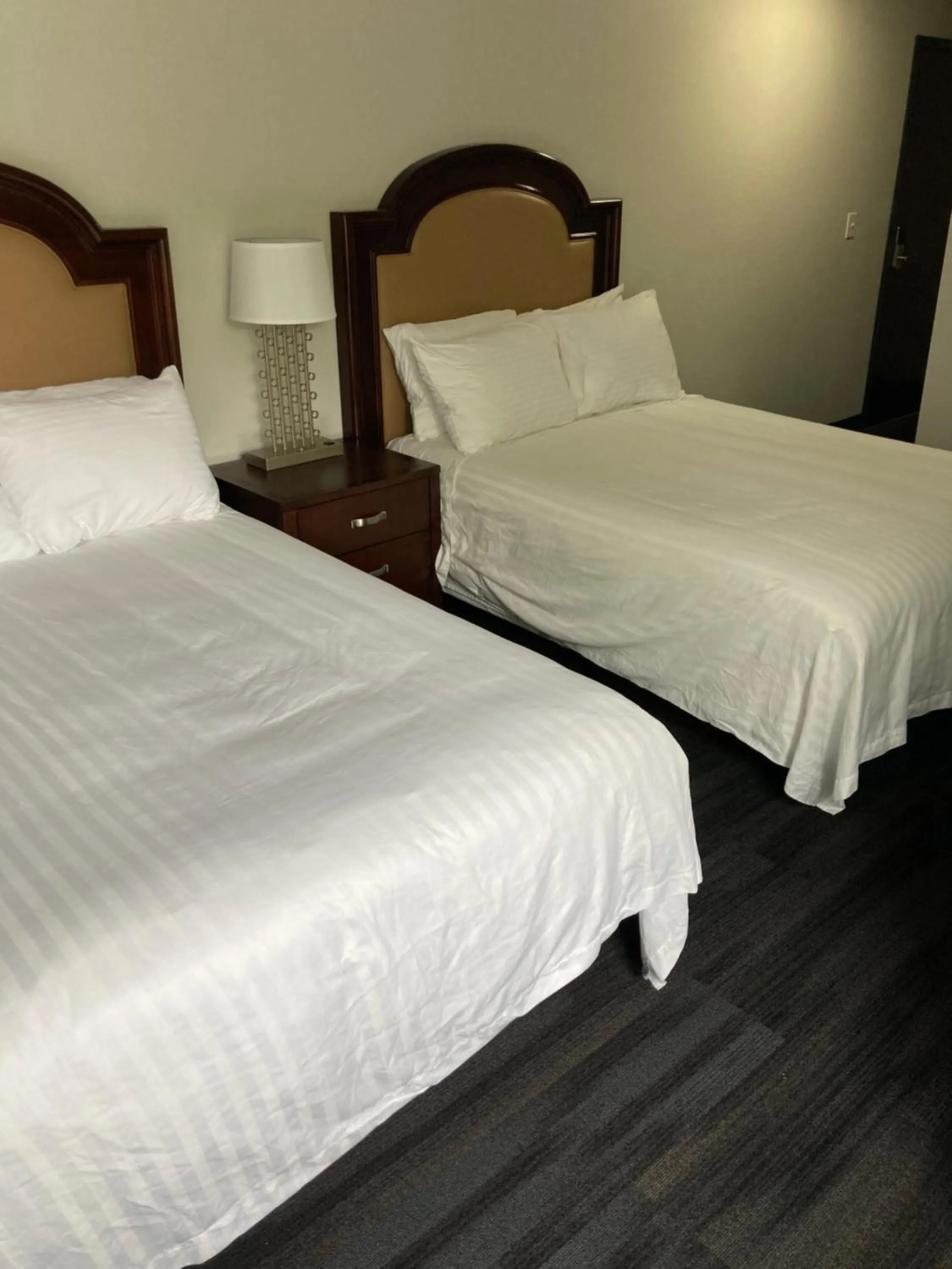 Photo of the whole room, Bed in Elker Inn & Suites
