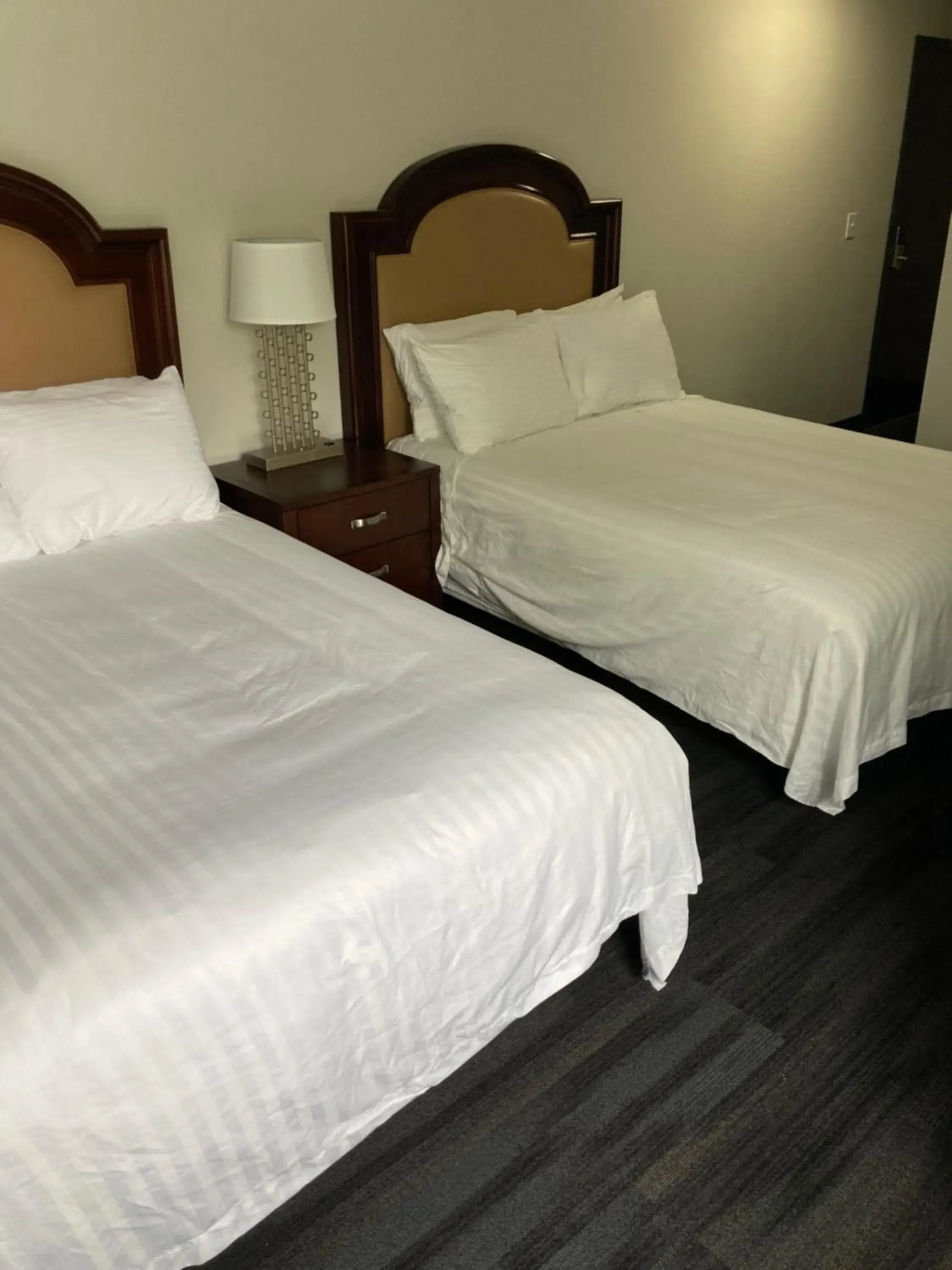 Double Room in Elker Inn & Suites Double Room in Elker Inn & Suites
