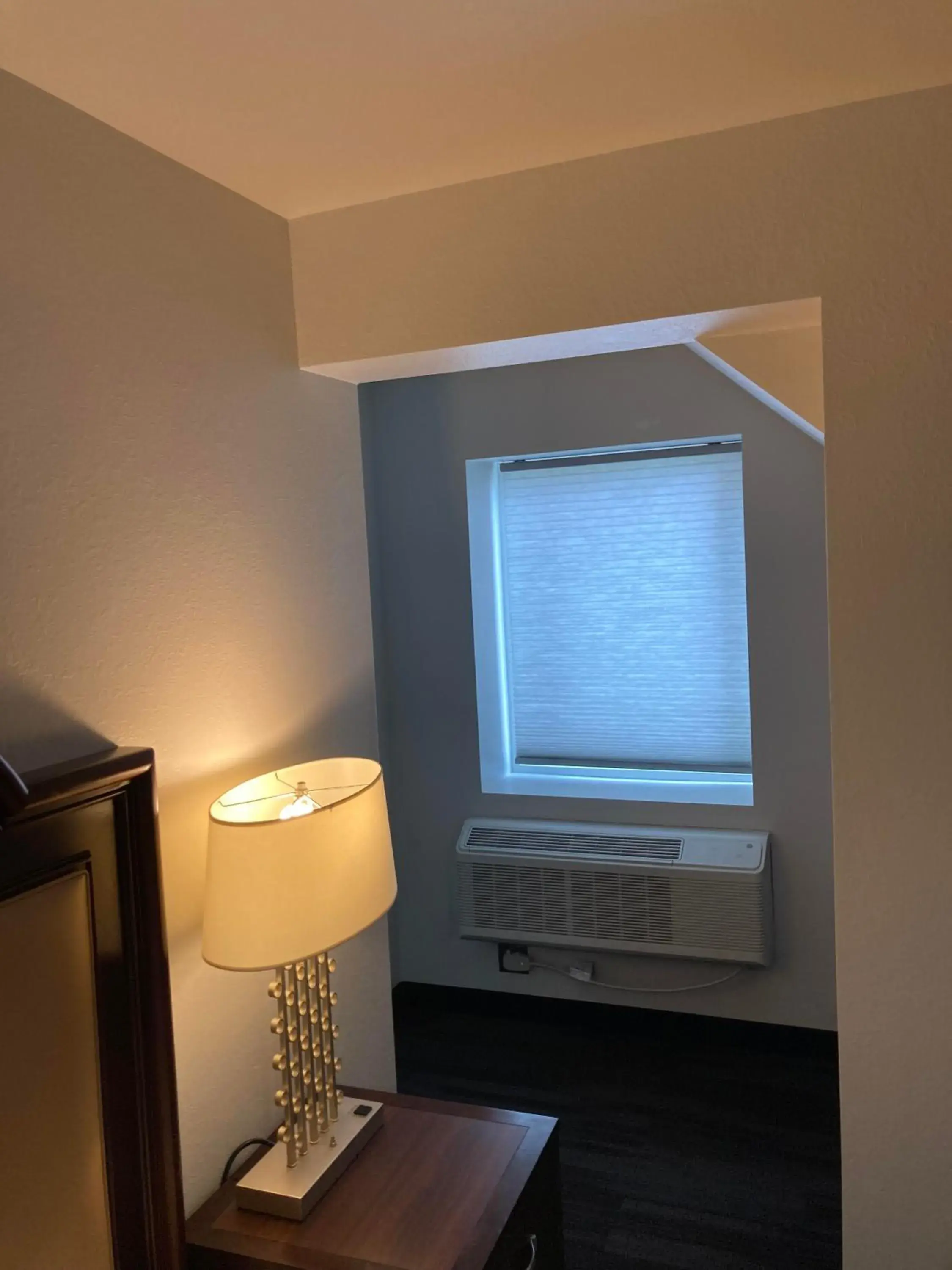 Deluxe King Room in Elker Inn & Suites Deluxe King Room in Elker Inn & Suites