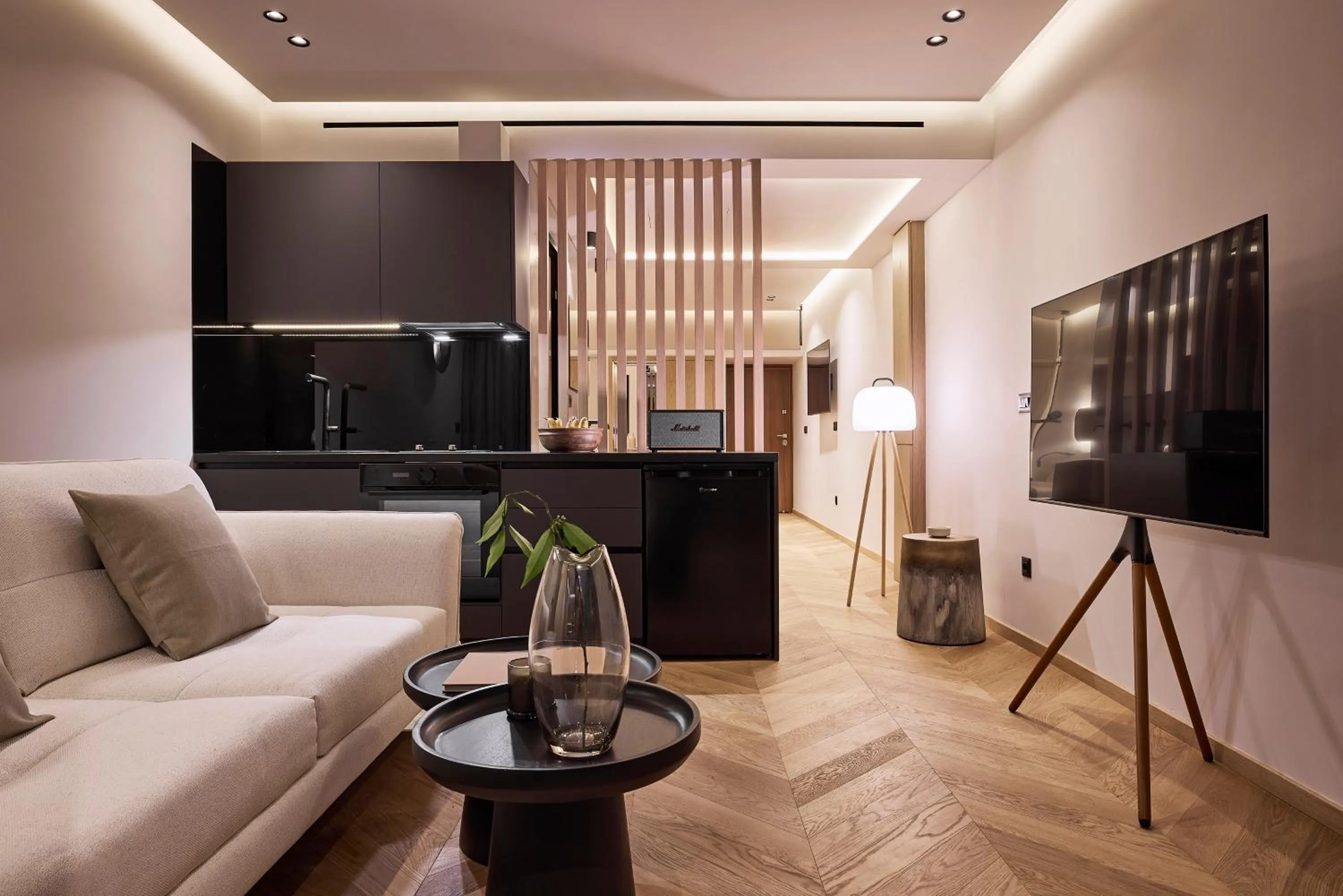 TV and multimedia in Cama Luxury Suites Kavouri